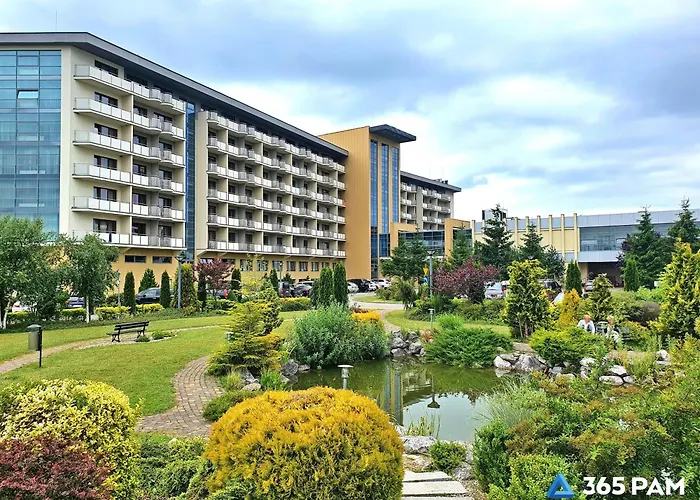 365PAM - Prywatny Arka